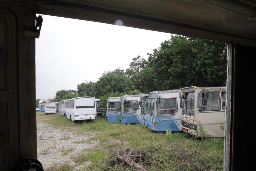 Situao dos coletivos foi alvo de denncias por parte de agentes de trnsito, que temem a proliferao de focos do mosquito Aedes aegypti na regio. Diretor de trnsito do rgo, Joo Bezerra, afirma que a queixa do grupo  'calnia'. (Foto: Evilazio Bezerra/O POVO)