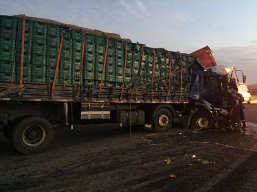 Caminhes colidem frontalmente; duas pessoas ficam gravemente feridas