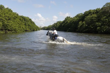 Tem um rio no meio do caminho