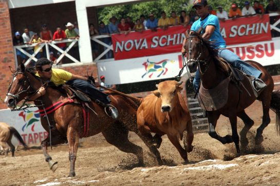 Natinho Racing