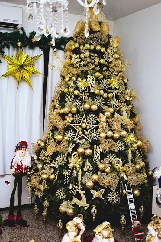 Seis dicas para não errar na montagem da árvore de Natal | Revistas O POVO
