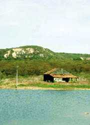 imgs/canalceara/municipios/potiretama.jpg