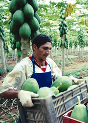 imgs/canalceara/municipios/quixere.jpg