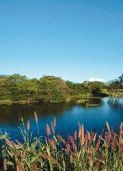 imgs/canalceara/municipios/tamboril.jpg